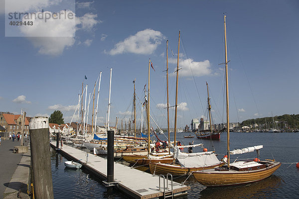 Segelboote  Innenförde  Flensburg  Schleswig-Holstein  Deutschland  Europa