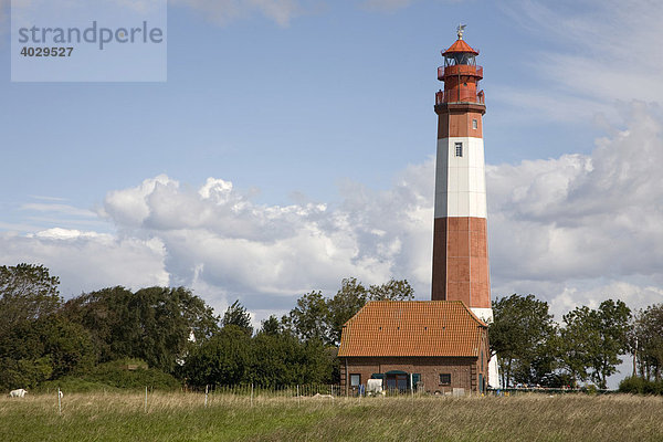Leuchtturm in Flügge auf der Insel Fehmarn  Schleswig-Holstein  Deutschland  Europa