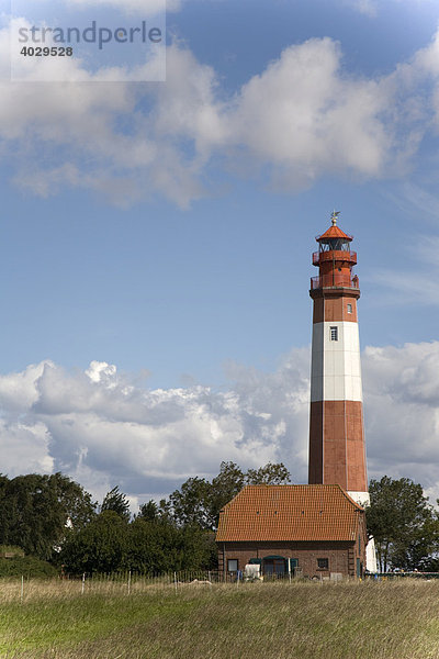 Leuchtturm in Flügge auf der Insel Fehmarn  Schleswig-Holstein  Deutschland  Europa
