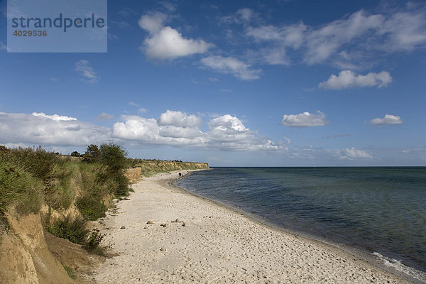 Ostseestrand auf der Insel Fehmarn  Schleswig-Holstein  Deutschland  Europa