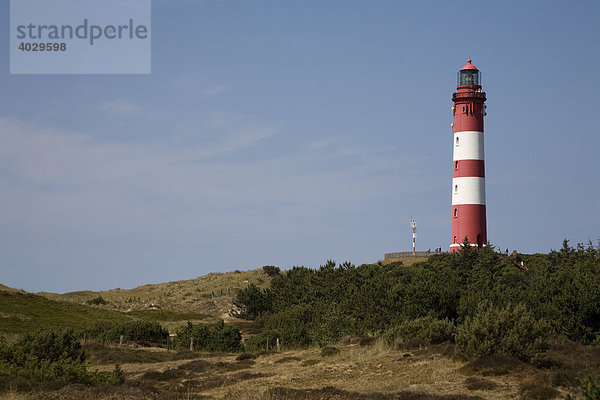 Leuchtturm auf Amrum  Nordfriesland  Schleswig-Holstein  Deutschland  Europa