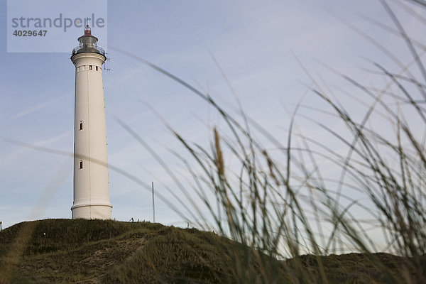 Leuchtturm von Lyngvig  Nordsee  Dänemark  Skandinavien  Nordeuropa