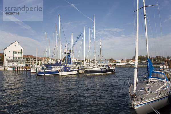 Segelhafen von Schleswig an der Schlei  Ostsee  Schleswig-Holstein  Norddeutschland  Deutschland  Europa