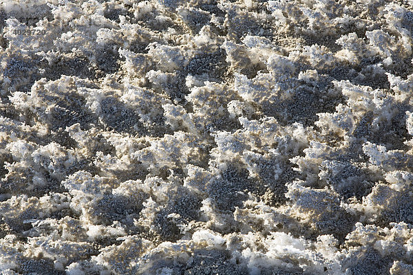 Eiskristalle am winterlichen Strand von St Peter-Ording  Halbinsel Eiderstedt  Nordfriesland  Schleswig-Holstein  Norddeutschland  Deutschland  Europa