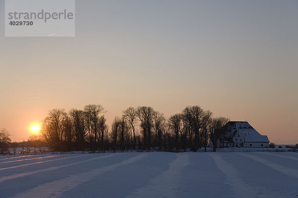 Sonnenuntergang am Roten Haubarg in der verschneiten Marsch  Witzwort  Nordfriesland  Schleswig-Holstein  Norddeutschland  Deutschland  Europa
