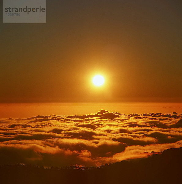 Sonnenuntergang über den Wolken am Pico de Nieves  Gran Canaria  Kanarische Inseln  Spanien  Europa