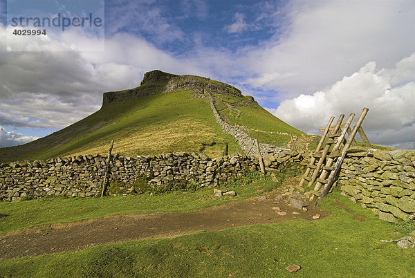 Eine Bruchsteinmauer und Leitern unterhalb des Gipfels von Pen-Y-Ghent  Yorkshire Dales  Yorkshire  Vereinigtes Königreich  Europa