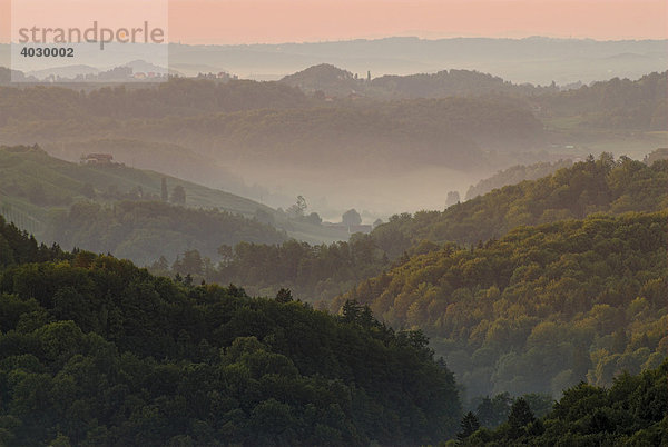 Morgennebel über den Hügeln nahe Gamlitz  Steiermark  Österreich  Europa