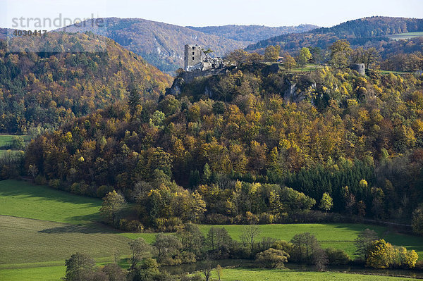 Ruine Neideck  Wahrzeichen der Fränkischen Schweiz im herbstlichen Wiesenttal  Fränkische Schweiz  Franken  Bayern  Deutschland  Europa