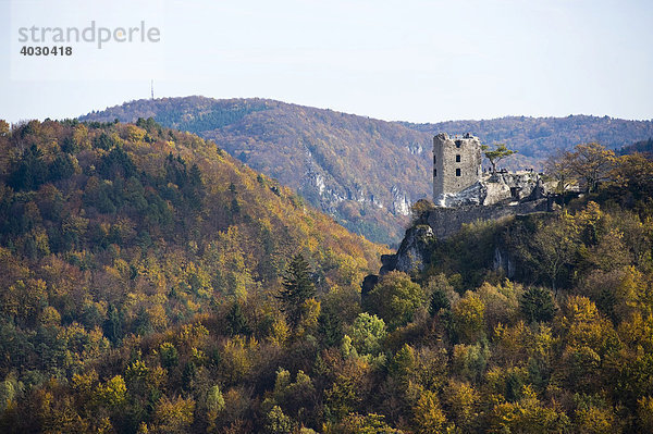 Ruine Neideck  Wahrzeichen der Fränkischen Schweiz im herbstlichen Wiesenttal  Fränkische Schweiz  Franken  Bayern  Deutschland  Europa