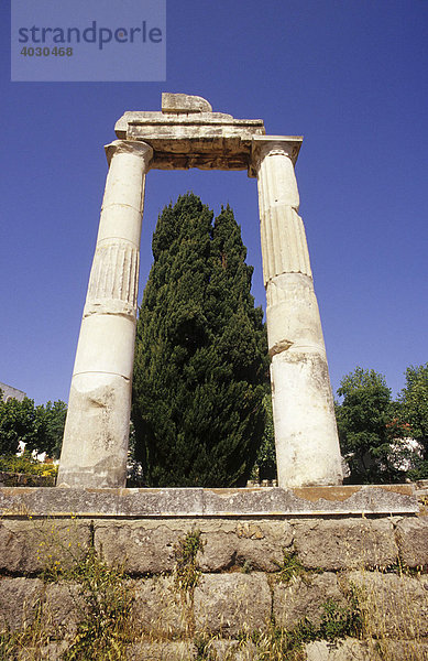 Agora  Überreste einer antiken Stadt  Kos-Stadt  Insel Kos  Griechenland  Europa