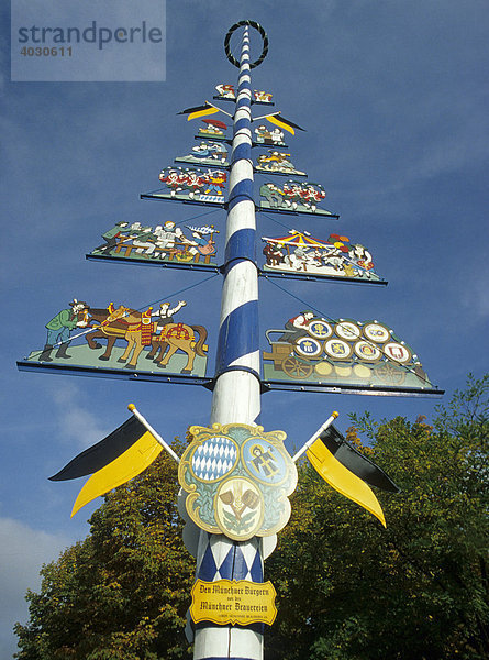 Maibaum auf dem Viktualienmarkt  München  Bayern  Deutschland  Europa