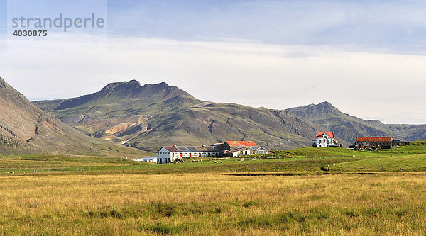 Bauernhof bei Höfn  Südostküste  Island  Europa