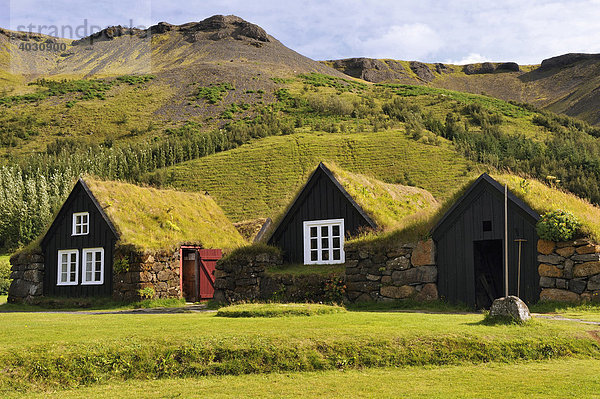 Heimat- und Freilichtmuseum von Skógar  Byggðasafnið í Skógum  Island  Europa