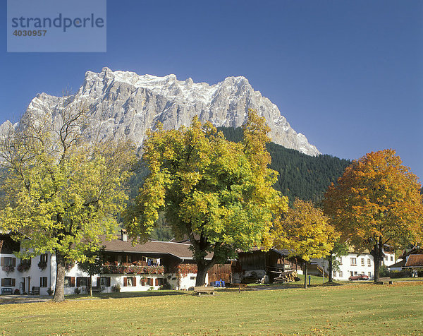 Ehrwald unter der Zugspitze  Tirol  Österreich  Europa