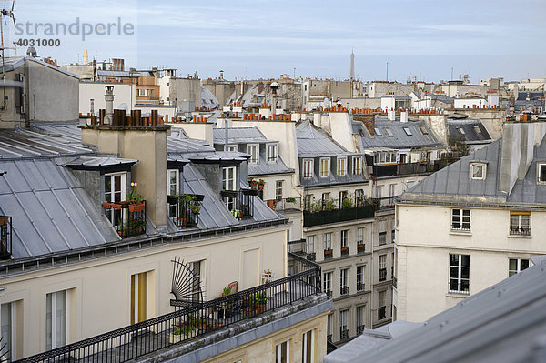 über den Dächern von Paris  Eiffelturm  Zentrum  Frankreich  Europa