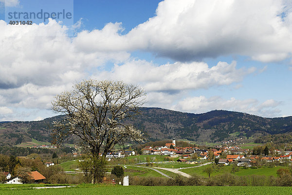 Lalling im Lallinger Winkel  Bayerischer Wald  Niederbayern  Bayern  Deutschland  Europa