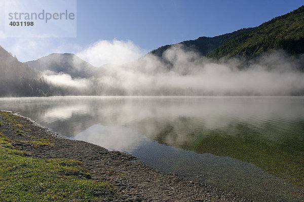 Plansee  Tirol  Österreich  Europa