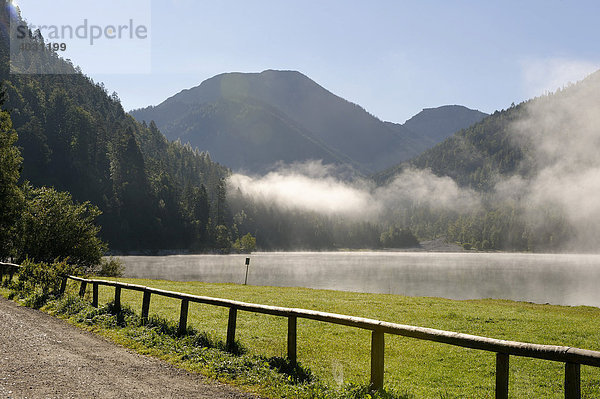 Plansee  Tirol  Österreich  Europa