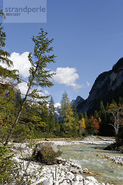 Isar im Hinterautal  Isarursprungstal  bei Scharnitz  Tirol  Österreich  Europe