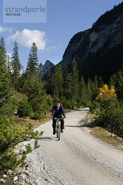 Radfahrer im Hinterautal  Isarursprungstal  bei Scharnitz  Tirol  Österreich  Europe