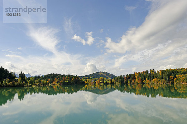 Forggensee vor dem Zwieselberg  1055 m  bei Roßhaupten  bayerisch Schwaben  Bayern Deutschland  Europa