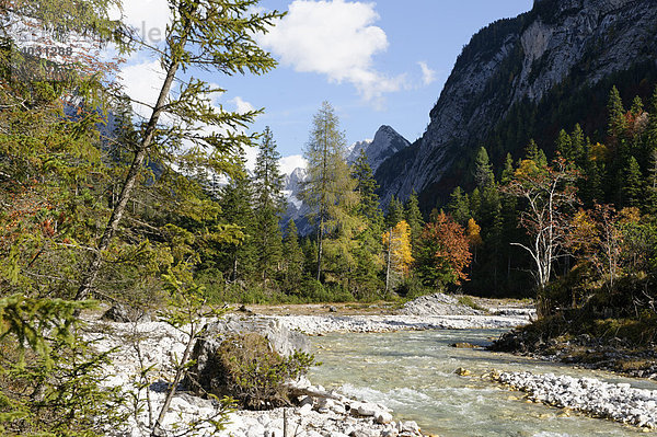 Isar im Hinterautal  Isarursprungstal  bei Scharnitz  Tirol  Österreich  Europe