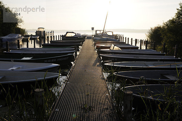 Bootssteg am Plauer See  Mecklenburg-Vorpommern  Deutschland  Europa