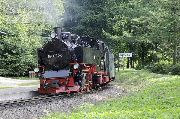 Lokomotive vom rasenden Roland  Schmalspurbahn auf der Insel Rügen  Ostsee  Mecklenburg-Vorpommern  Deutschland  Europa