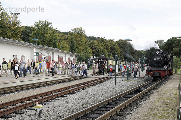 Gleise Bahnhof Binz  mit Zügen  Der rasende Roland  Schmalspurbahn auf der Insel Rügen  Ostsee  Mecklenburg-Vorpommern  Deutschland  Europa