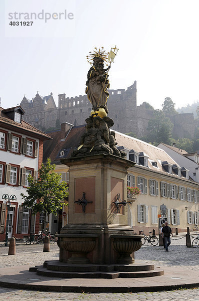 Marienbrunnen Heidelberg  hinten das Heidelberger Schloss  Baden-Württemberg  Deutschland  Europa