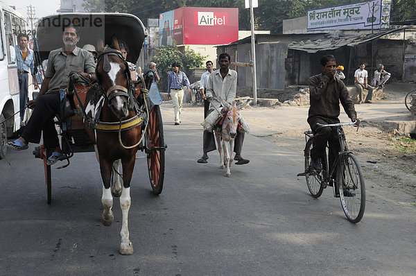 Straßenverkehr  Straße in Pushkar  Rajasthan  Nordindien  Asien