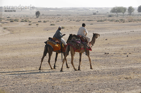 Kamelreiter unterwegs  bei Jaisalmer  Rajasthan  Nordindien  Asien