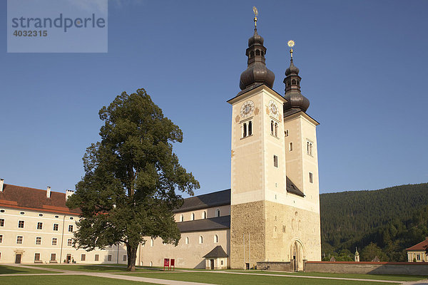 Pfarrkirche Mariä Himmelfahrt  Gurker Dom  Gurk  Kärnten  Österreich  Europa