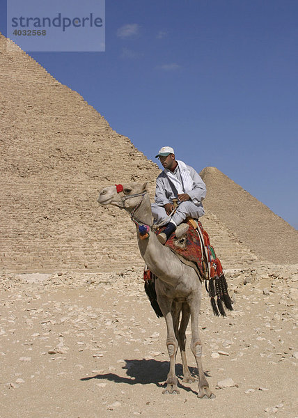 Mann reitet Kamel  Pyramiden  Ägypten  Afrika