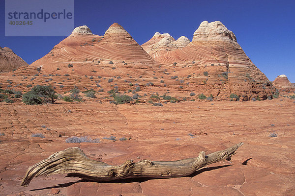 Versteinerte Sanddünen  Coyote Buttes  Arizona  USA