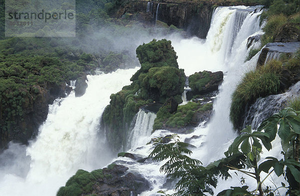Iguazú-Wasserfälle  Iguazu Nationalpark  Argentinien  Südamerika