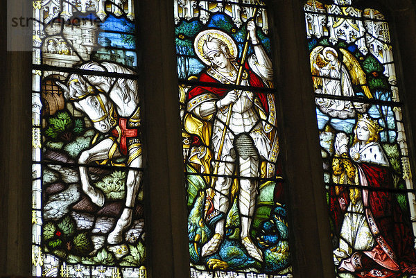 Kirchenfenster  St. Andrew's Cathedral  Gotik  Kathedrale  Wells  Mendip  Somerset  England  Großbritannien  Europa