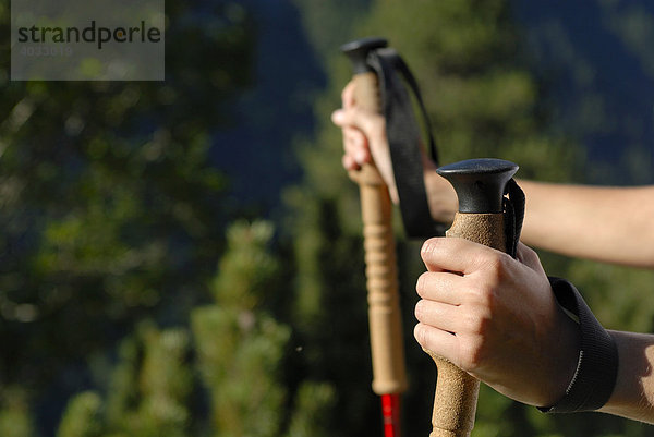 Hände halten Trekkingstöcke  Detail  junge Frau beim Wandern in den Bergen  Trekking  Wald  Stubaital  Tirol  Österreich  Europa