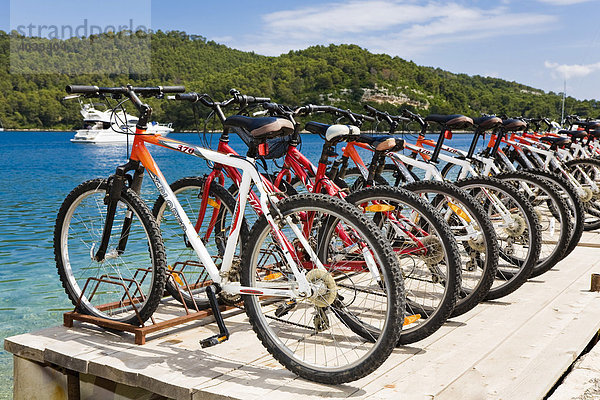 Aufgereihte Fahrräder  Fahrradverleih in Polace  Insel Mljet  Dubrovnik-Neretva  Dalmatien  Kroatien  Europa