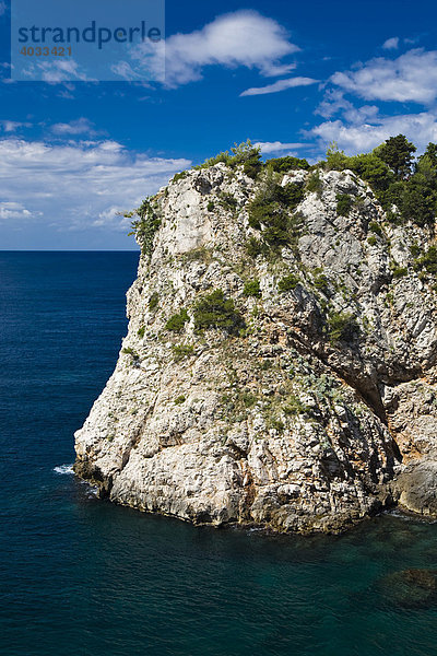 Steile Felsküste vor Dubrovnik  Ragusa  Dubrovnik-Neretva  Dalmatien  Kroatien  Europa