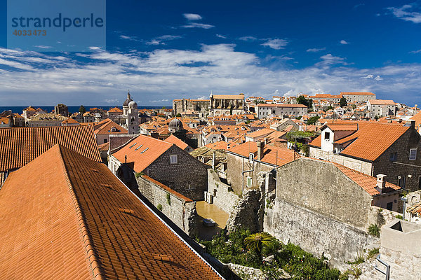 Altstadt und Weltkulturerbe Dubrovnik  Ragusa  Dubrovnik-Neretva  Dalmatien  Kroatien  Europa