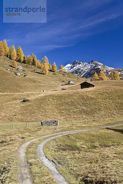 Herbstliche Landschaft an der Großglockner Hochalpenstraße  Nationalpark Hohe Tauern  Kärnten  Österreich  Europa