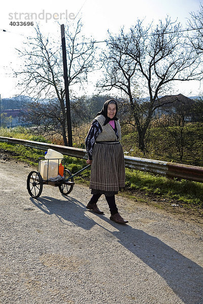 Rumänische Frau zieht einen Karren mit Wasserkanistern hinter sich her  Cernuc  Salaj  Siebenbürgen  Transsilvanien  Rumänien  Europa