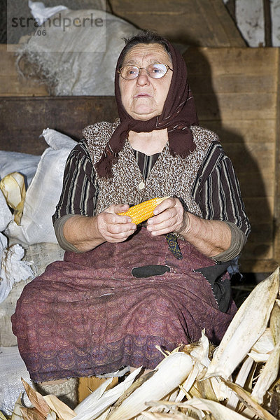 Rumänische Frau mit Kopftuch und Maiskolben in der Hand  Bezded  Salaj  Siebenbürgen  Transsilvanien  Rumänien  Europa