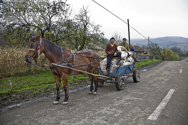 Rumänische Männer mit Pferdefuhrwerk  Cernuc  Salaj  Siebenbürgen  Transsilvanien  Rumänien  Europa