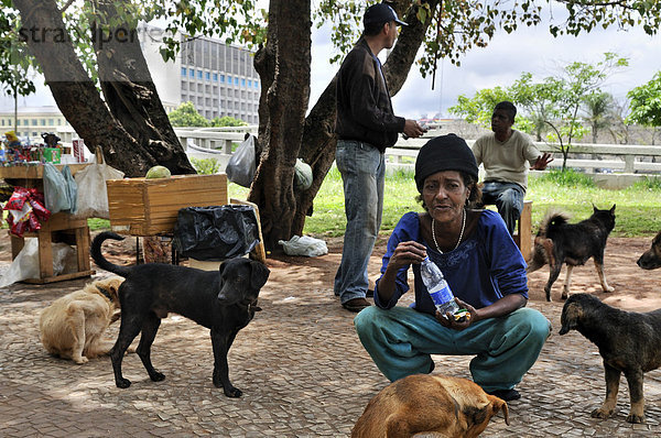 Ausgemergelte Frau  obdachlos  mit Hunden  Stadtteil Bras  Sao Paulo  Brasilien  Südamerika