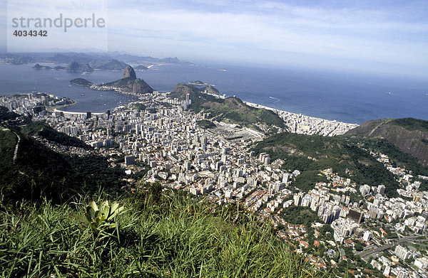 Blick über die Stadt und den Zuckerhut  Rio de Janeiro  Brasilien  Südamerika