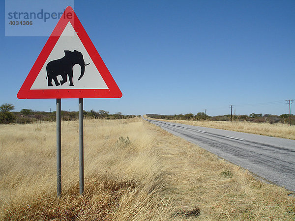 Straßenschild Achtung Elefanten  bei Khorixas  Namibia  Afrika