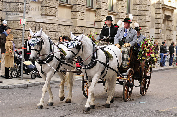 Pferdekutsche auf dem traditionellen Trachtenumzug zum Oktoberfest  München  Bayern  Deutschland  Europa